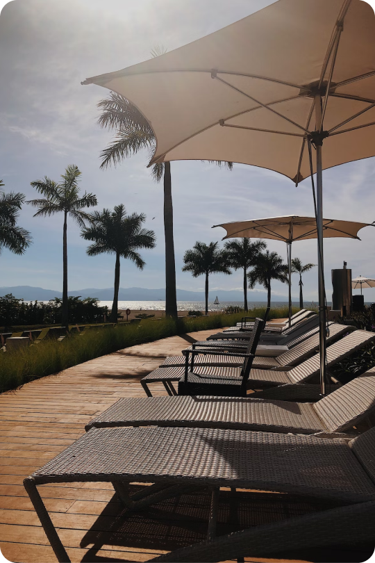 Fort Myers & Naples Outdoor Furniture Contact Zing Patio