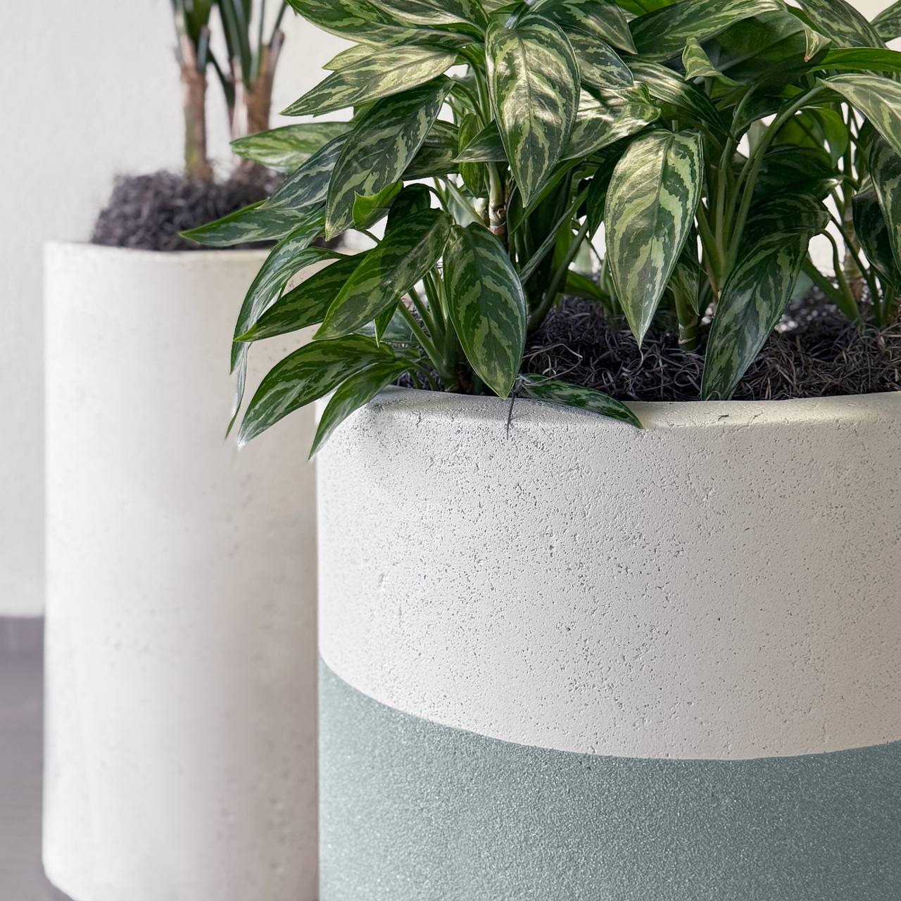 Two-Tone Bolinas Round Planter