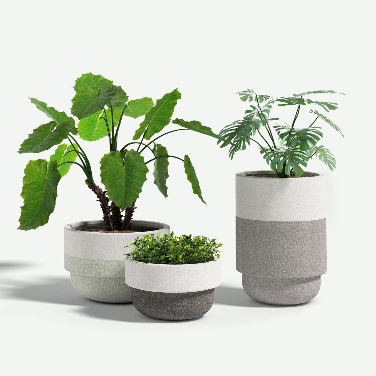 パンギト///グラスルーツ　フォレスト　ディマジオ&ダンカン Two-Tone Bolinas Round Planter | Commercial Grade Outdoor Planters