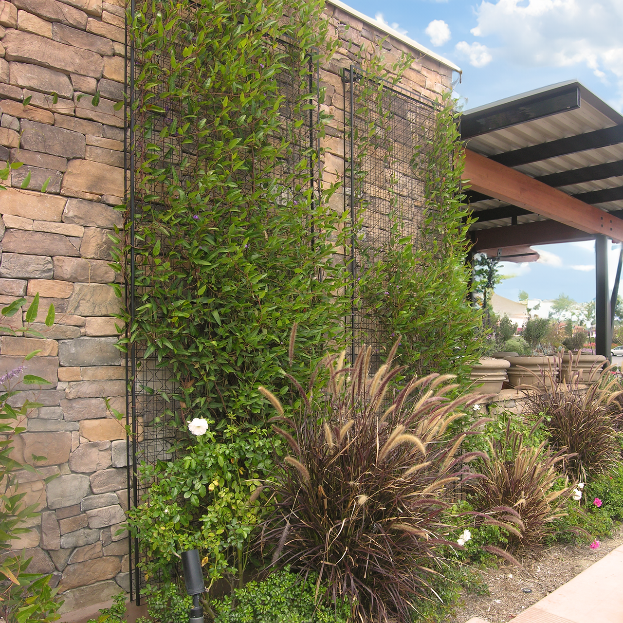 Greenscreen Trellis Panel Kit | Commercial Wall Trellis for Restaurants &  Property Management