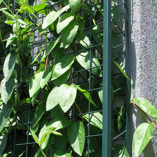 [Textured Green]