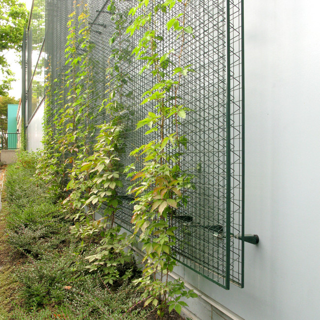 Greenscreen Trellis Panel Kit | Commercial Wall Trellis for Restaurants &  Property Management