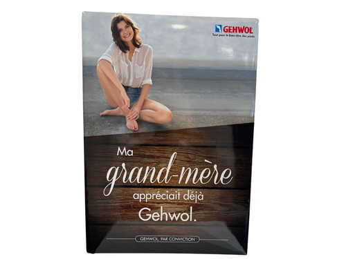 Grandmother Poster - French - 16.50 W x 23.25 H