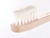 Gentle Toothpaste - Apple & Mint - 60g