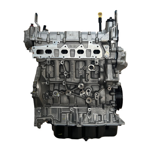 Motor longblock OEM Ford Transit 2.0 Diesel