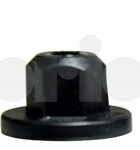 Plastic Nut, Saab