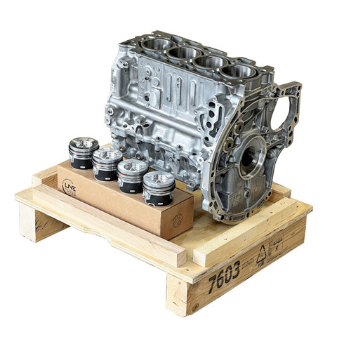 Engingeblock and Pistons OEM PSA Ford YH* DV5R* Z2* ZT*