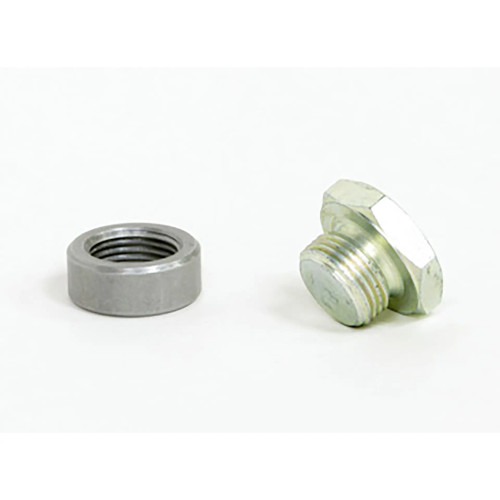 O2 Sensor Bung and Plug