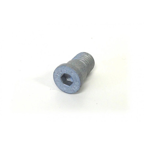 Screw Brake Disc 900/9-3/9-5