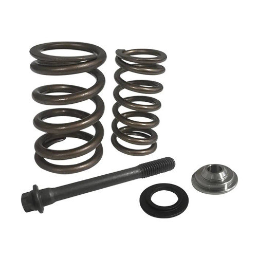 RIVA Valve Train Upgrade Kit - Sea-Doo 4-TEC