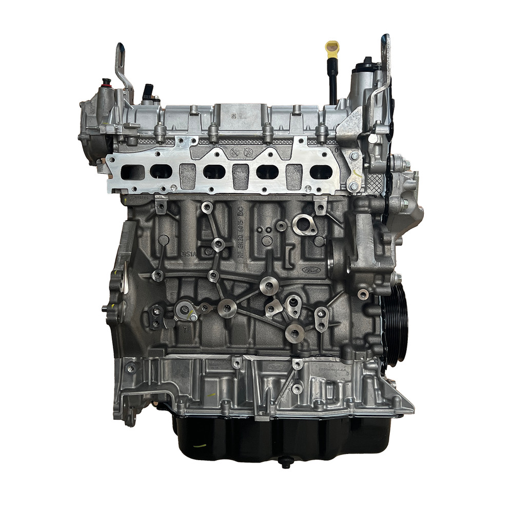 Motor longblock OEM Ford Transit 2.0 Diesel