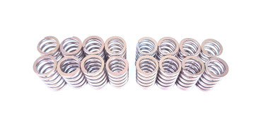 Stiffer valve springs B207 T8 - Maptun