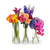 Small Vase Set