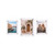 Floating Acrylic Gallery Wall Frame Set with 1" Standoff Hardware: (2) 8" x 10" & (1) 11" x 14" Graphic Sizes