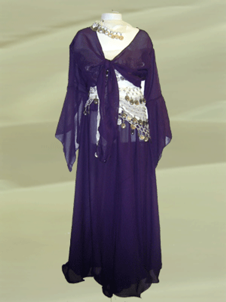 Gypsy Style Costume in Purple
