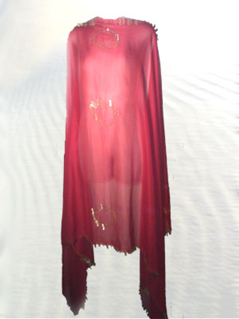 Red Veil with Sequin Design