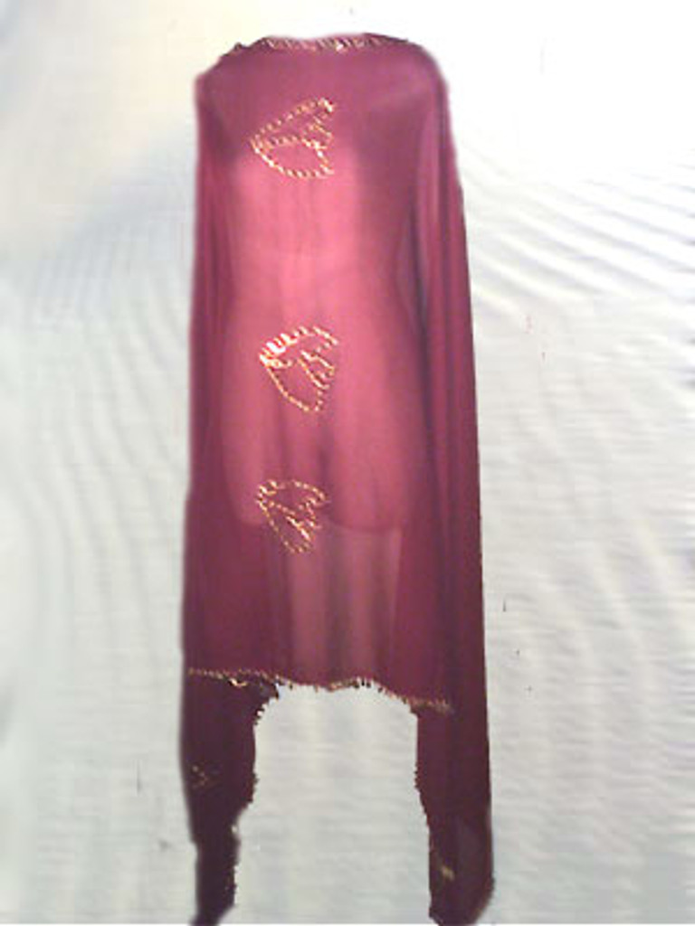 Maroon Veil with Sequin Design