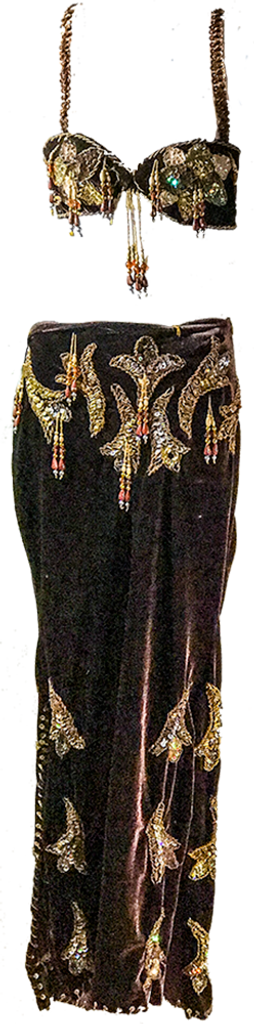 Pre-Teen Belly Dance Costume