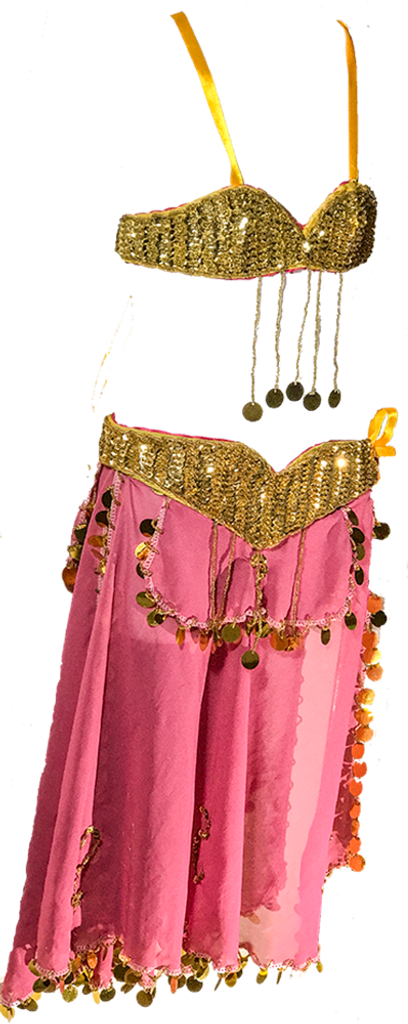 Little Girl's Pink Belly Dance Costume