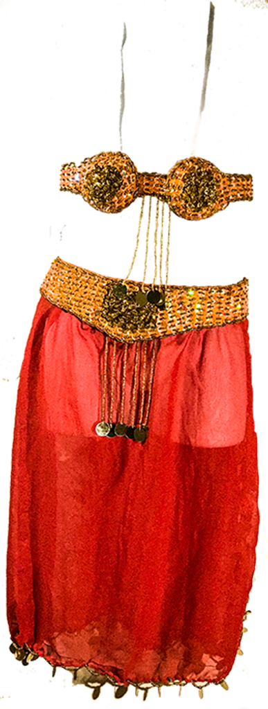 Girls Fiery Belly Dance Costume