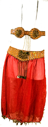 Girls Fiery Belly Dance Costume