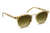 Franklin Sunglasses - Yuzu 12K