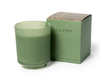 Illume Boxed Glass Candle