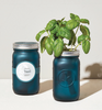 Garden Jar
