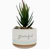 Artificial Potted Plant