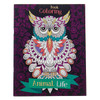 Adult Animal Coloring Book