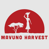 Mavuno Harvest Organic Dried Fruit