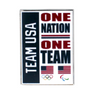 Team USA Lapel Pin