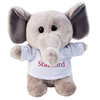 Stubby with T-Shirt-SU