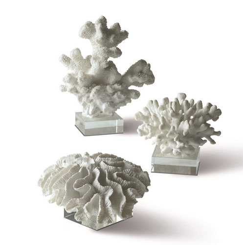 Coral Sculptures