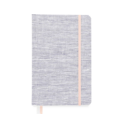 Essential Journal with Elastic Closure