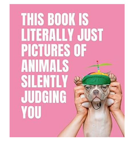 This Book is Literally Just Pictures of Animals Silently Judging You