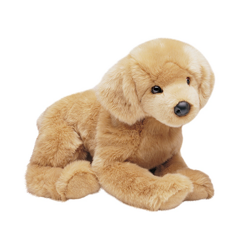 Honey Golden Retriever