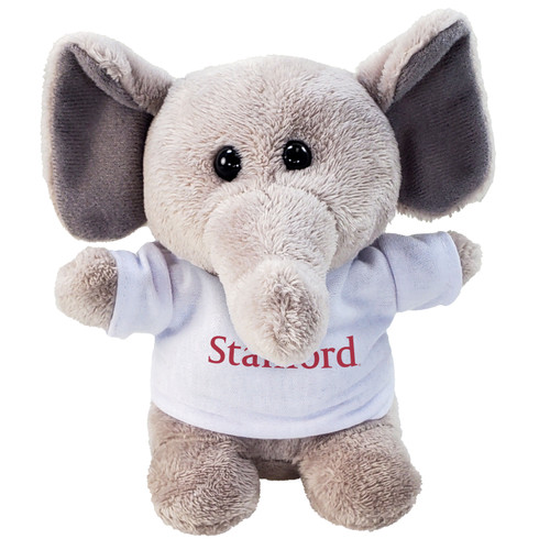 Stubby with T-Shirt-SU