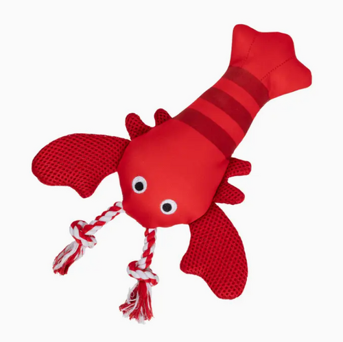 Feeling Clawsome Floating Dog Toy