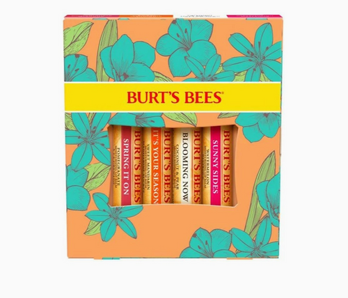 Burt's Bees Lip Balm Gift Set