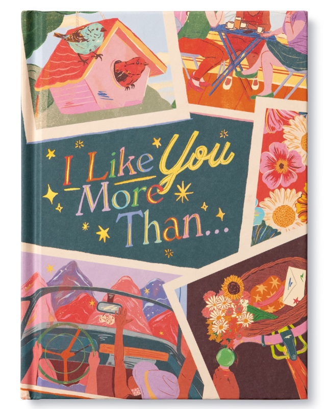 I Like You More Than... Book