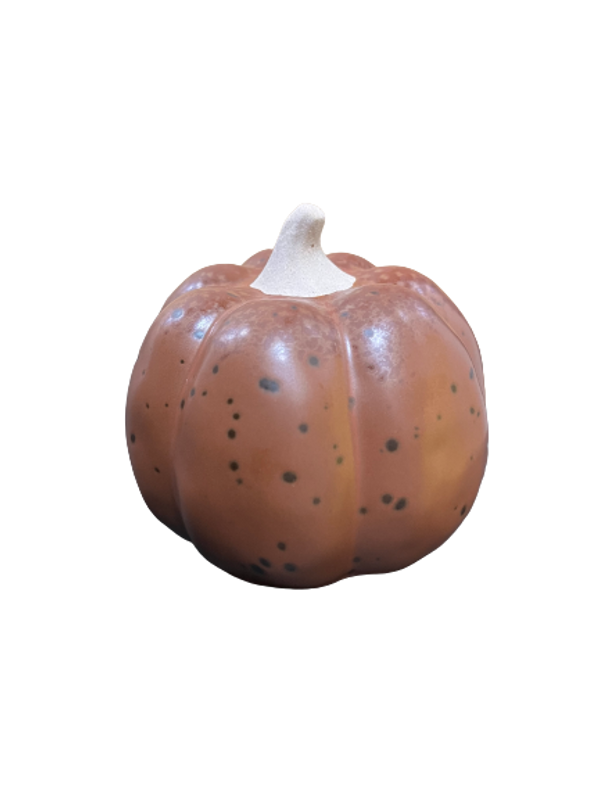 Rustic Speck Pumpkin