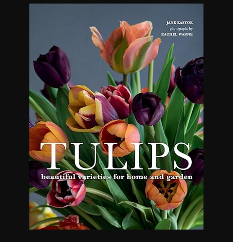 Tulips: Beautiful Varieties for Home and Garden