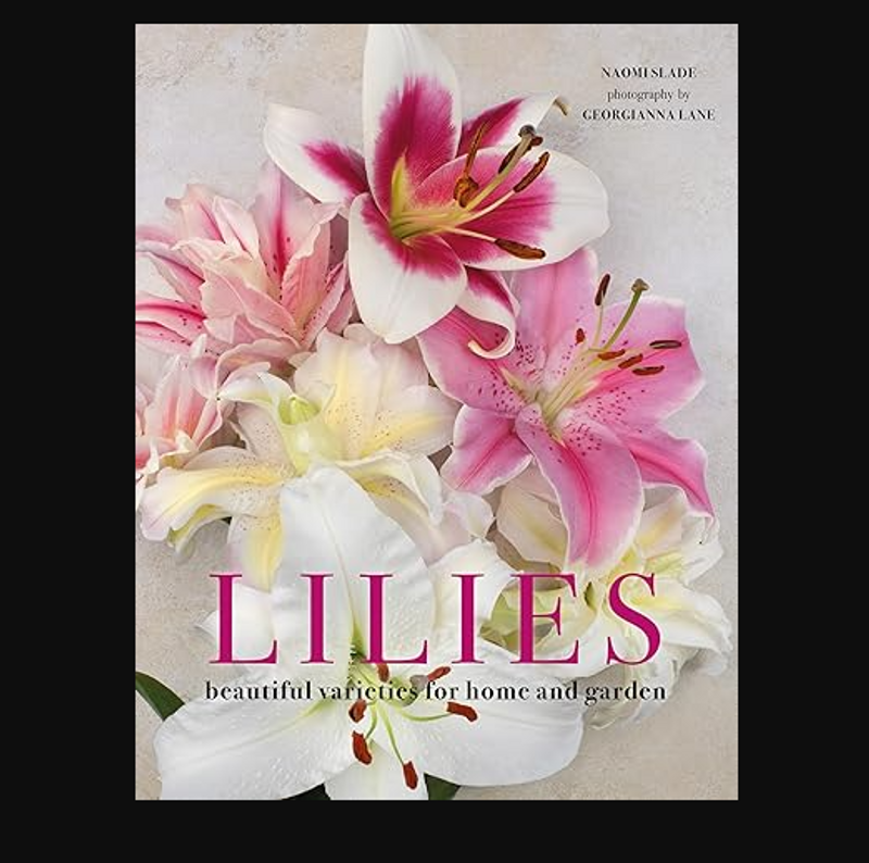 Lilies: Beautiful Varieties for Home and Garden