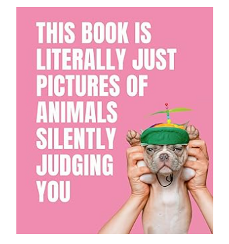 This Book is Literally Just Pictures of Animals Silently Judging You