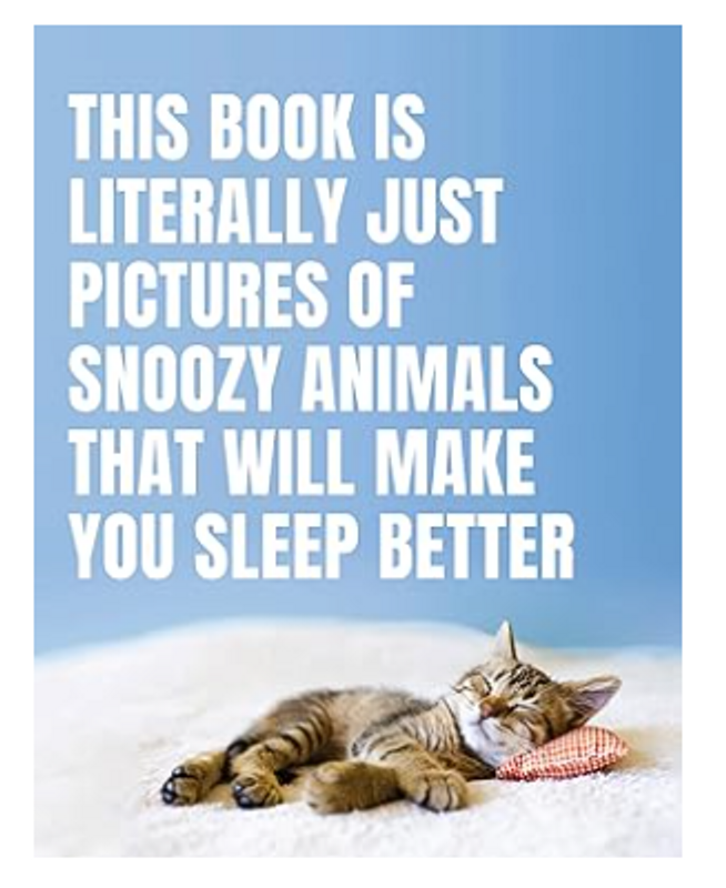 Snoozy Animals That Will Make You Sleep Better