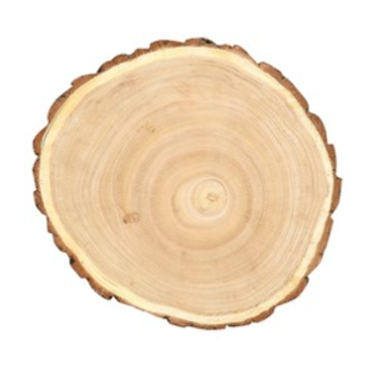 Round Paulowina Wood Slice