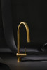 Riobel Azure Single Lever with Pull Down Spray Brushed Gold Kitchen Tap