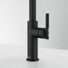 Franke Maris Stripes J Pull Down Mixer Tap - Matt Black