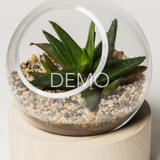 [Sample] Orbit Terrarium - Small - pre order